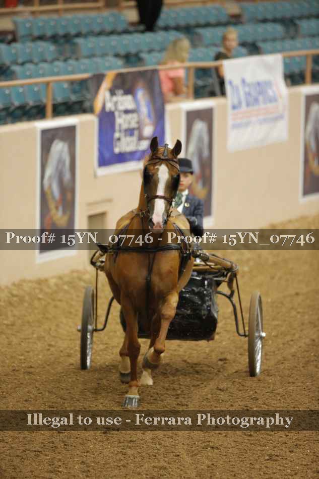 Proof 15YN_07746