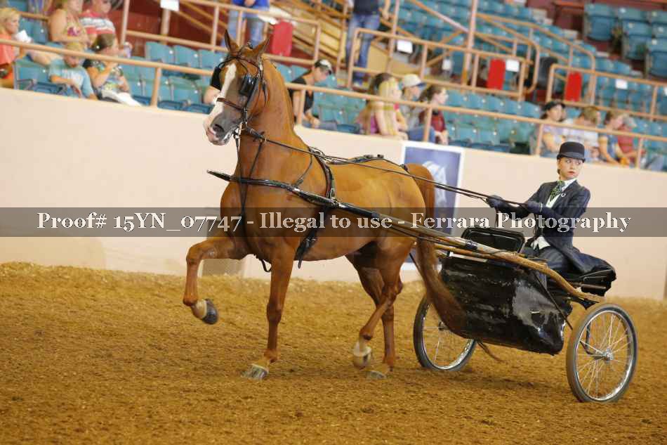 Proof 15YN_07747
