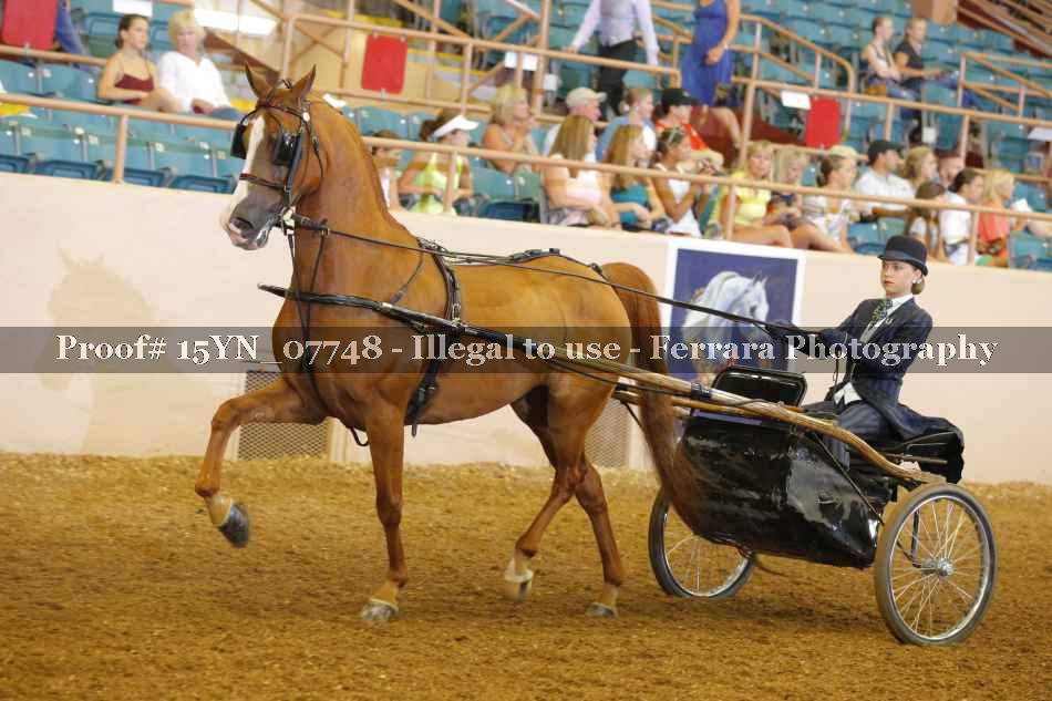 Proof 15YN_07748