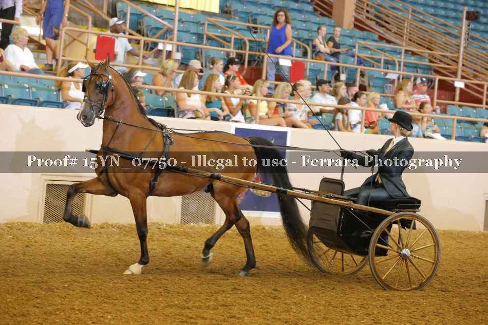 Proof 15YN_07750