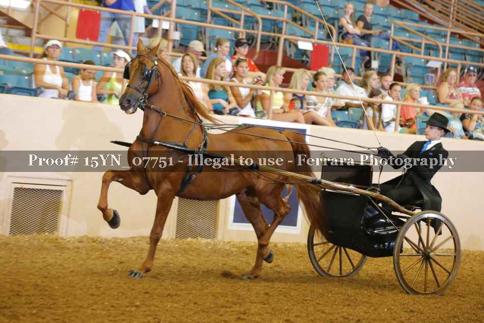 Proof 15YN_07751