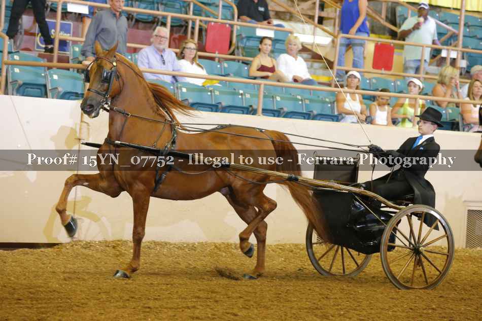 Proof 15YN_07752