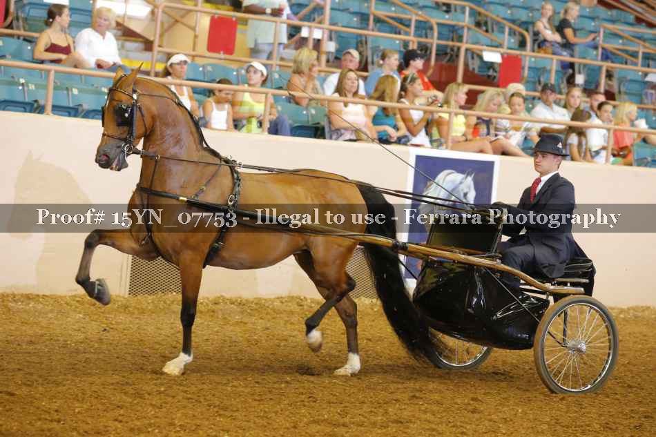 Proof 15YN_07753