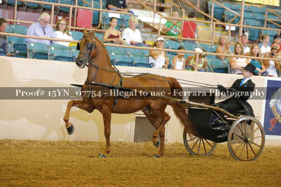 Proof 15YN_07754