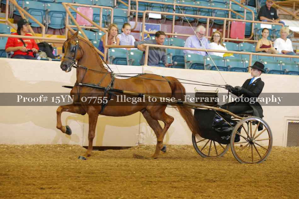 Proof 15YN_07755