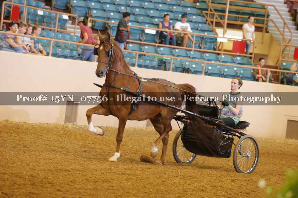 Proof 15YN_07756