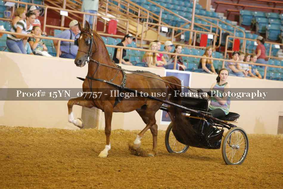 Proof 15YN_07757