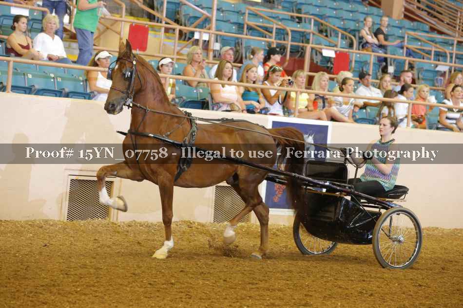 Proof 15YN_07758