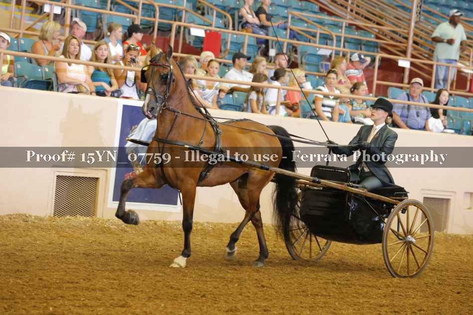 Proof 15YN_07759