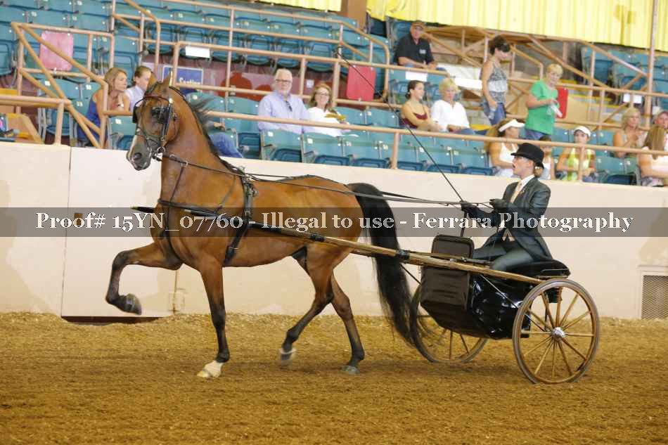 Proof 15YN_07760