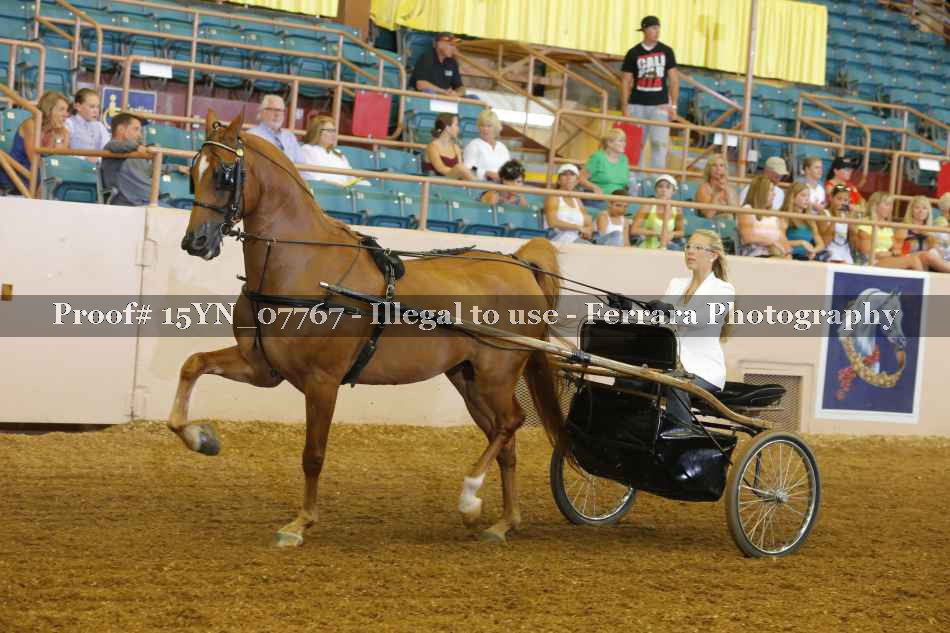 Proof 15YN_07767