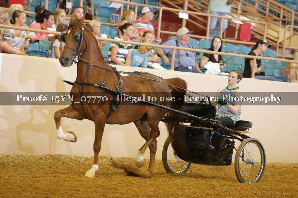 Proof 15YN_07770
