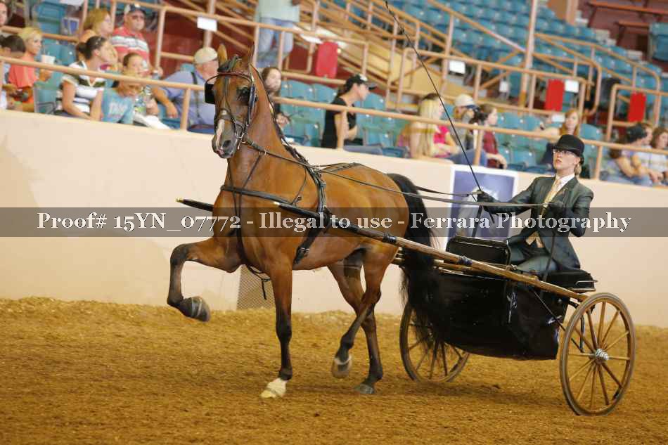 Proof 15YN_07772