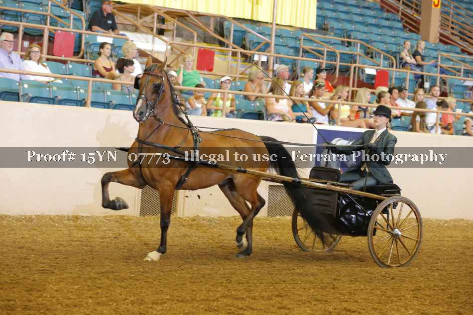 Proof 15YN_07773