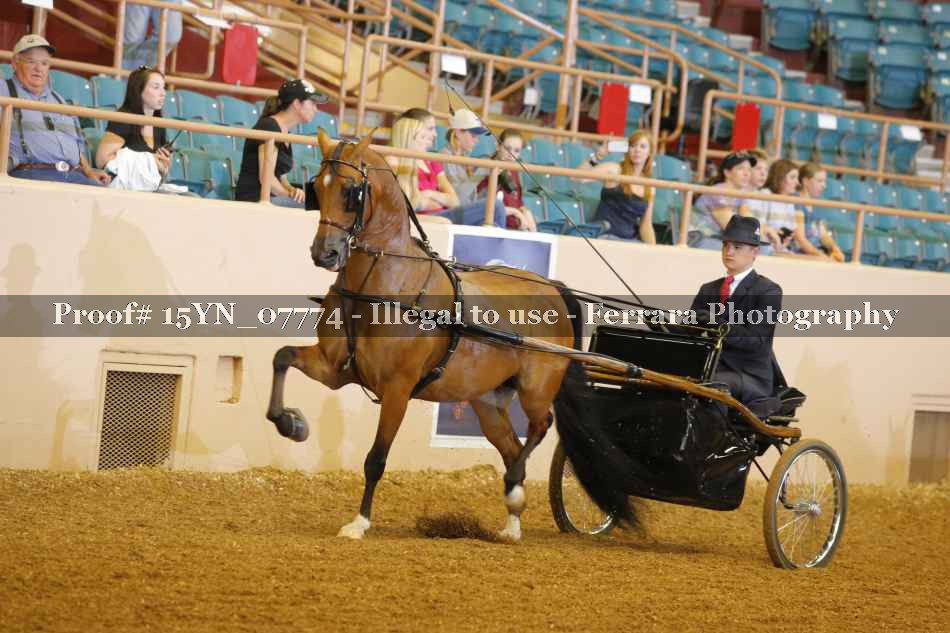 Proof 15YN_07774