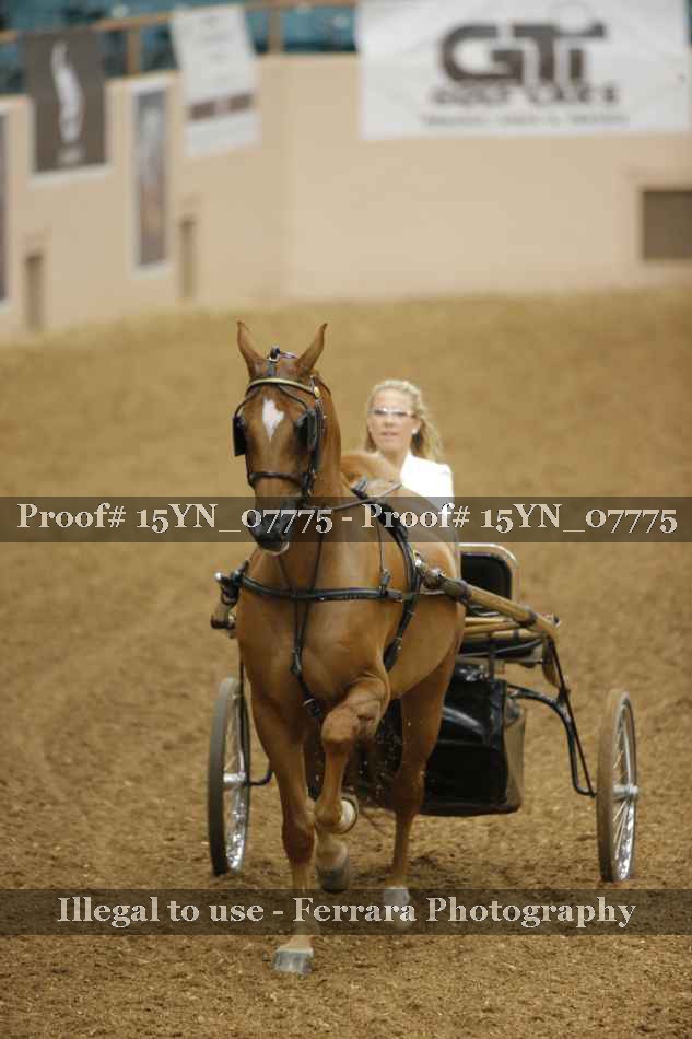 Proof 15YN_07775