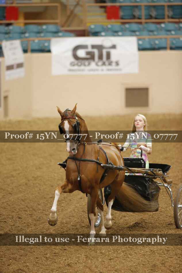 Proof 15YN_07777