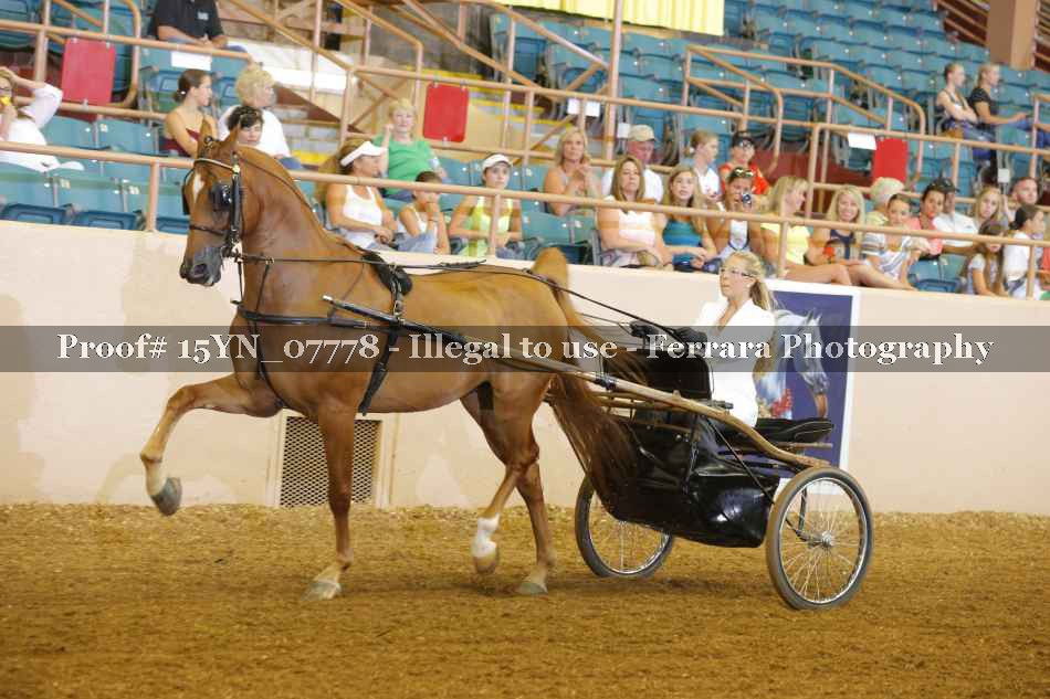 Proof 15YN_07778