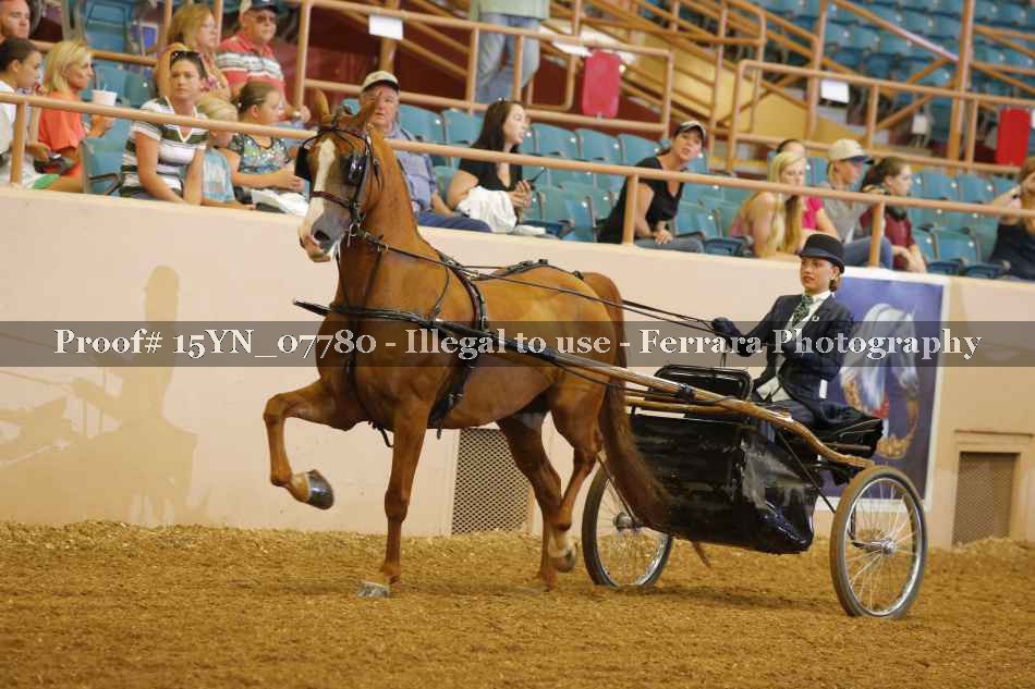 Proof 15YN_07780