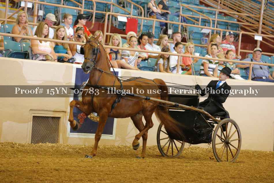 Proof 15YN_07783