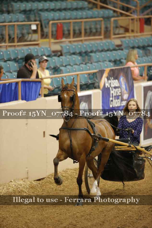 Proof 15YN_07784