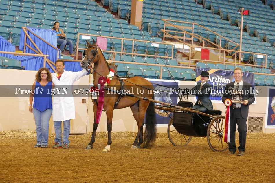 Proof 15YN_07795