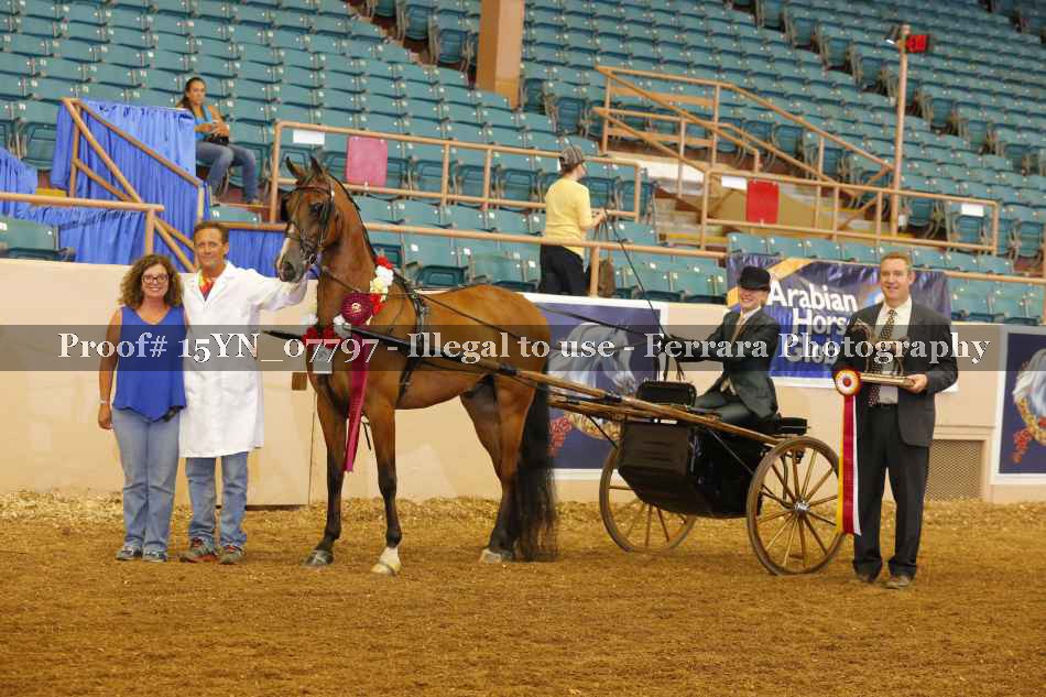 Proof 15YN_07797