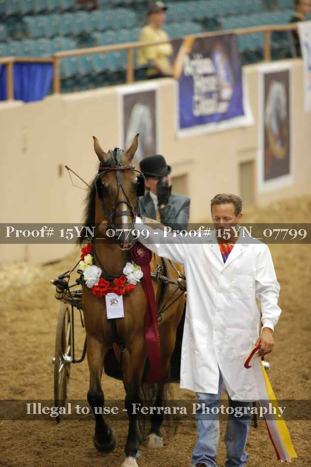 Proof 15YN_07799