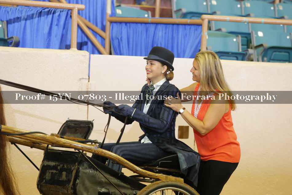 Proof 15YN_07803