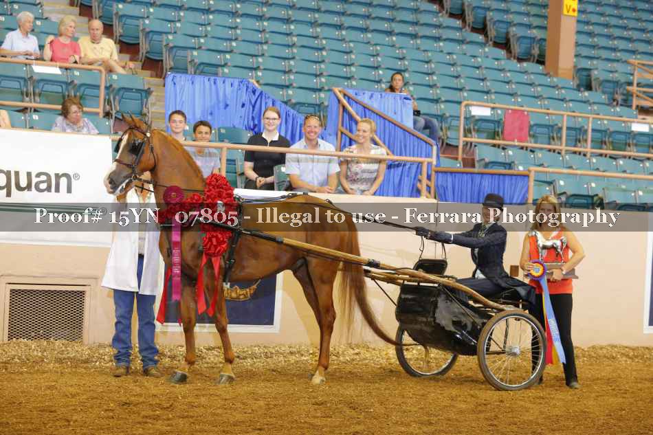 Proof 15YN_07805
