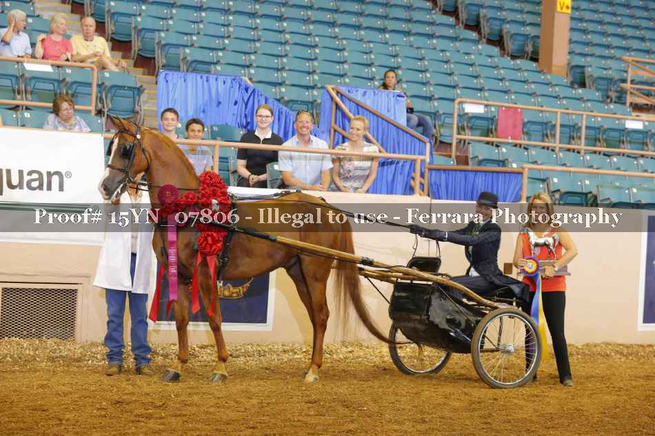 Proof 15YN_07806