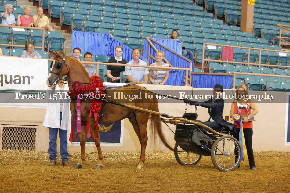 Proof 15YN_07807