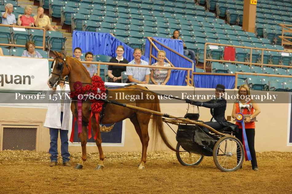 Proof 15YN_07808