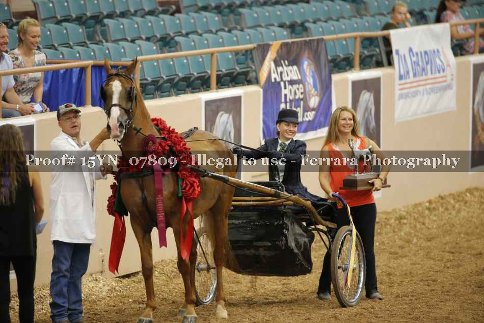 Proof 15YN_07809