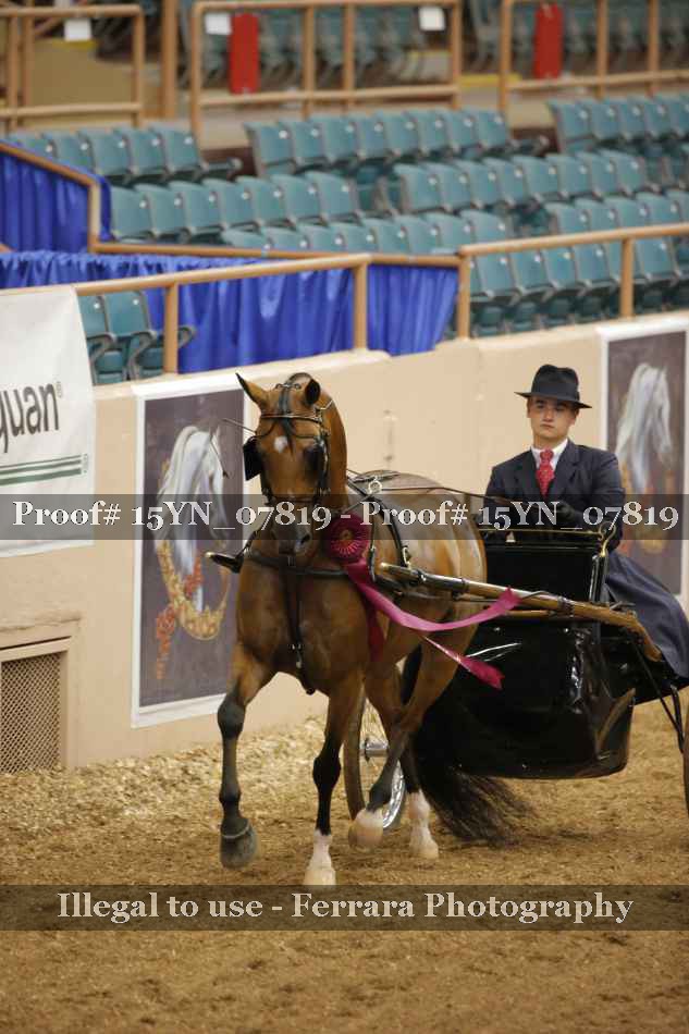 Proof 15YN_07819
