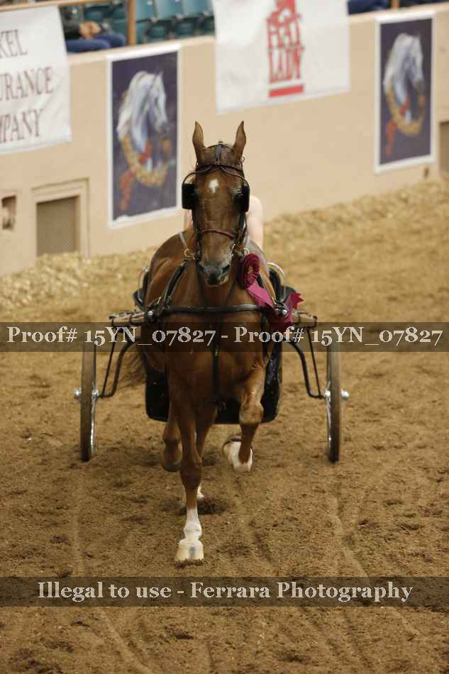 Proof 15YN_07827