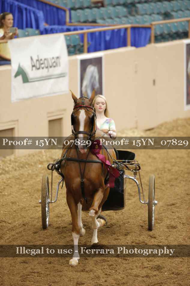 Proof 15YN_07829
