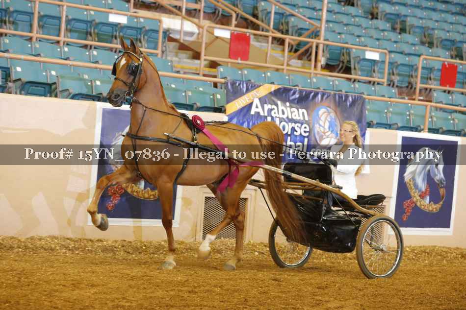 Proof 15YN_07836