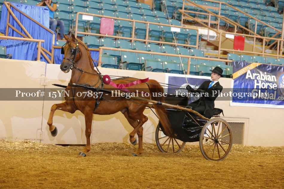 Proof 15YN_07837