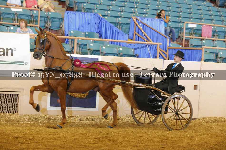 Proof 15YN_07838