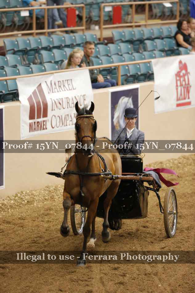 Proof 15YN_07844