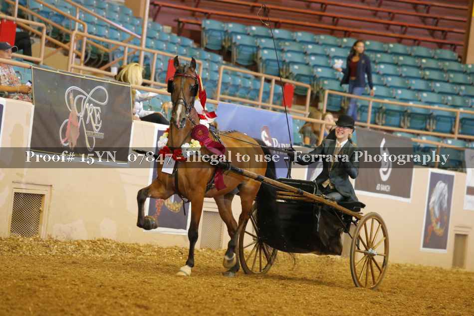 Proof 15YN_07847