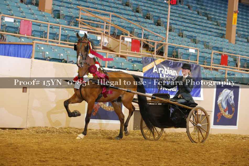 Proof 15YN_07851