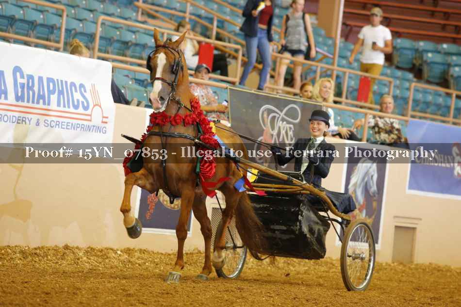 Proof 15YN_07853