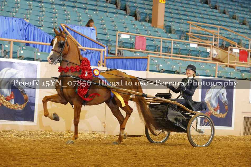 Proof 15YN_07856