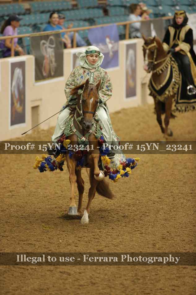 Proof 15YN_23241