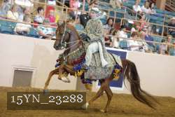 15YN_23288 proof
