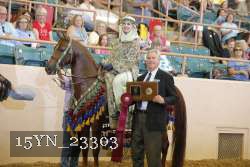 15YN_23303 proof
