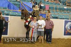 15YN_23324 proof