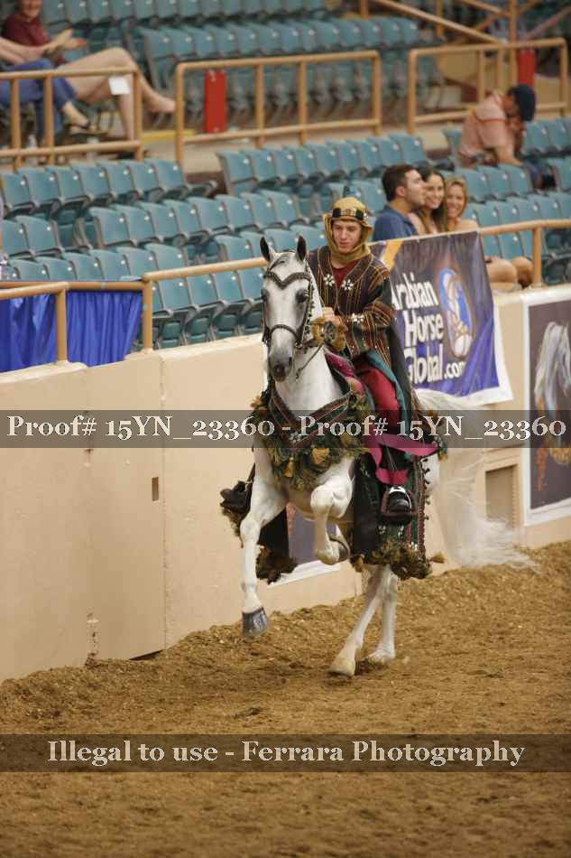 Proof 15YN_23360